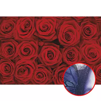 Фреска Ortograf