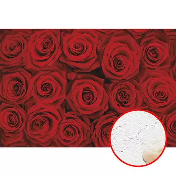 Фреска Ortograf