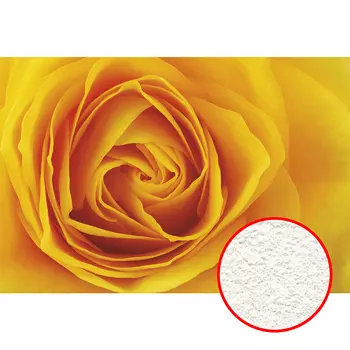 Фреска Ortograf