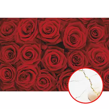 Фреска Ortograf