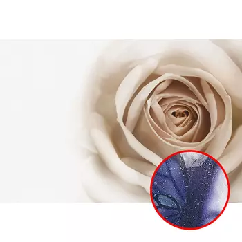 Фреска Ortograf