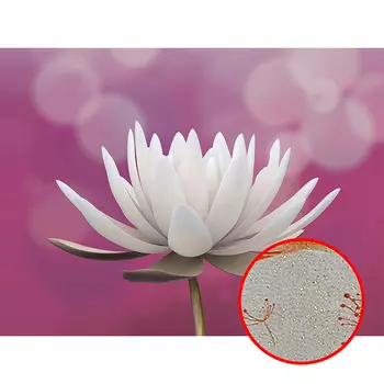 Фреска Ortograf