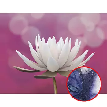 Фреска Ortograf