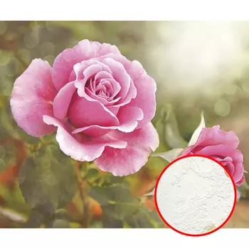 Фреска Ortograf