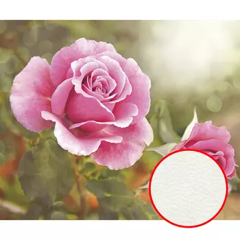 Фреска Ortograf