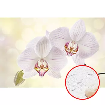 Фреска Ortograf