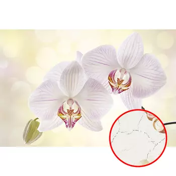 Фреска Ortograf