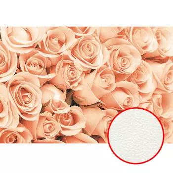 Фреска Ortograf