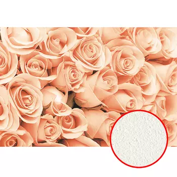 Фреска Ortograf