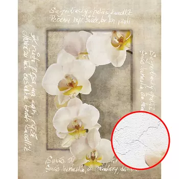 Фреска Ortograf