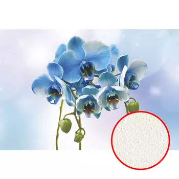 Фреска Ortograf