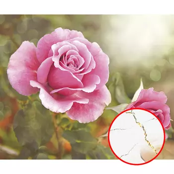 Фреска Ortograf