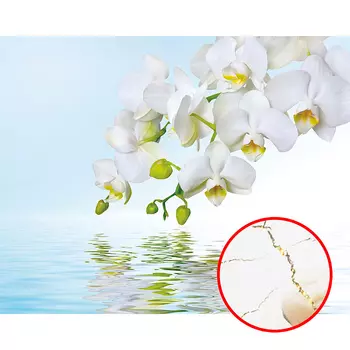 Фреска Ortograf