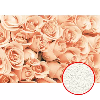 Фреска Ortograf