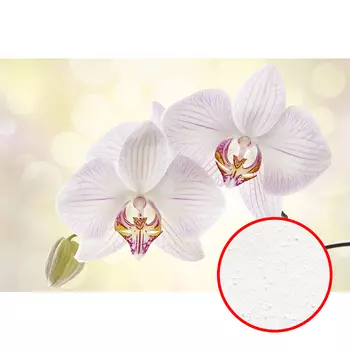 Фреска Ortograf