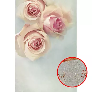 Фреска Ortograf