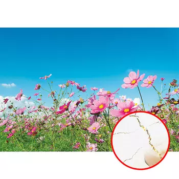 Фреска Ortograf