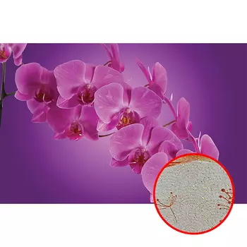 Фреска Ortograf