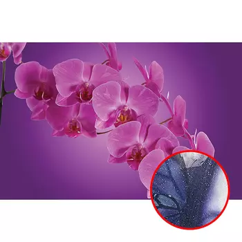 Фреска Ortograf