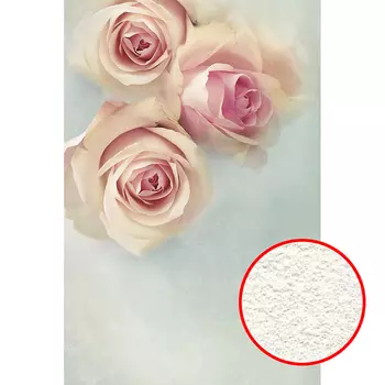 Фреска Ortograf