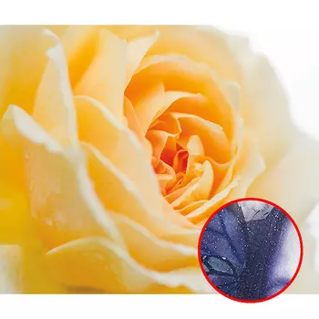 Фреска Ortograf