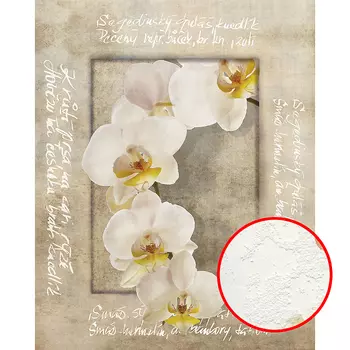 Фреска Ortograf