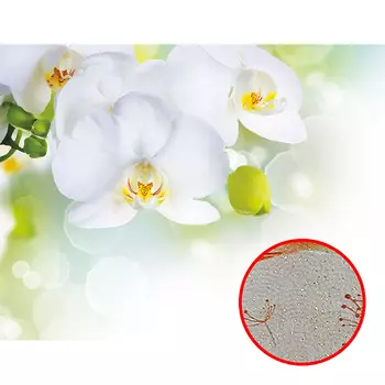 Фреска Ortograf