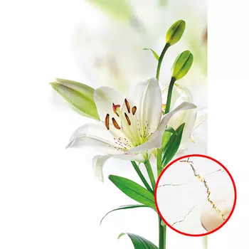 Фреска Ortograf