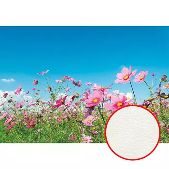 Фреска Ortograf