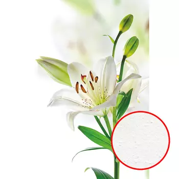 Фреска Ortograf