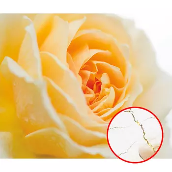 Фреска Ortograf