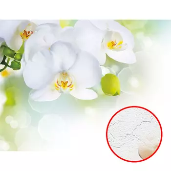 Фреска Ortograf