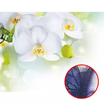 Фреска Ortograf