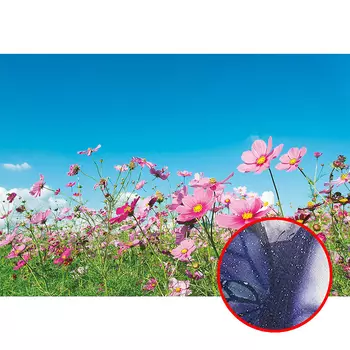 Фреска Ortograf