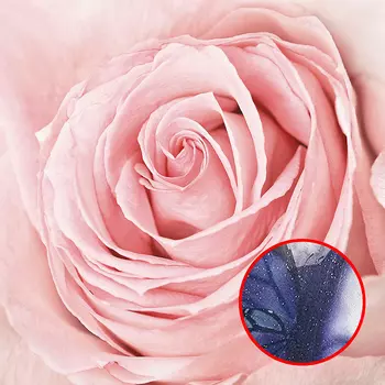 Фреска Ortograf