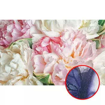 Фреска Ortograf