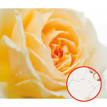 Фреска Ortograf