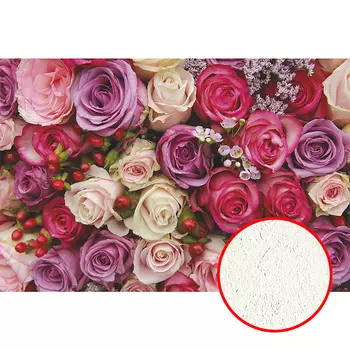 Фреска Ortograf