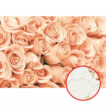 Фреска Ortograf