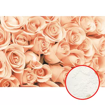 Фреска Ortograf