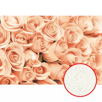 Фреска Ortograf