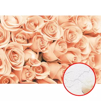 Фреска Ortograf