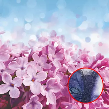 Фреска Ortograf