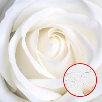 Фреска Ortograf