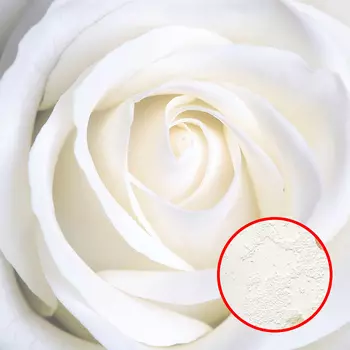 Фреска Ortograf