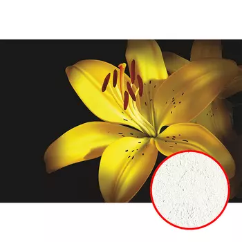 Фреска Ortograf