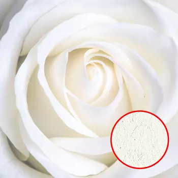 Фреска Ortograf