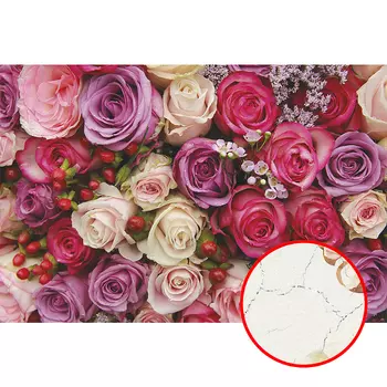 Фреска Ortograf