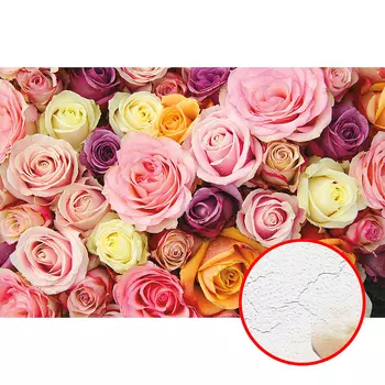 Фреска Ortograf