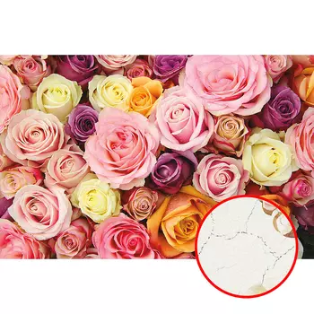 Фреска Ortograf